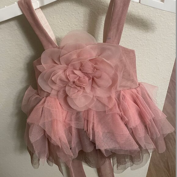 Birthday Dress / Flower Girl - Picture 2 of 3